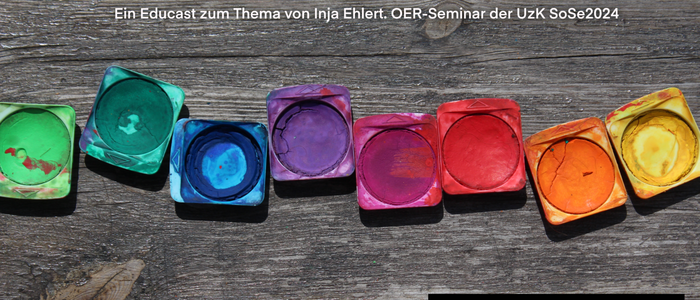 Courseblog Podcast: Bildungswissenschaften – Vielfalt, was ist das?